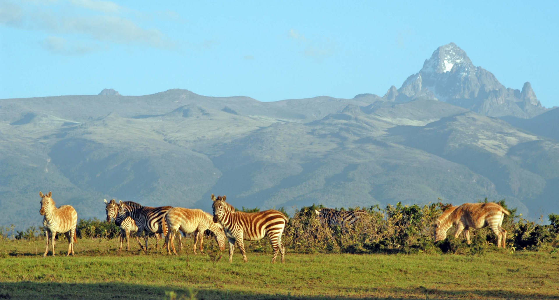 کوهستان کنیا